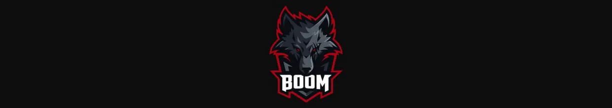 Fer to Stand In for BOOM Esports